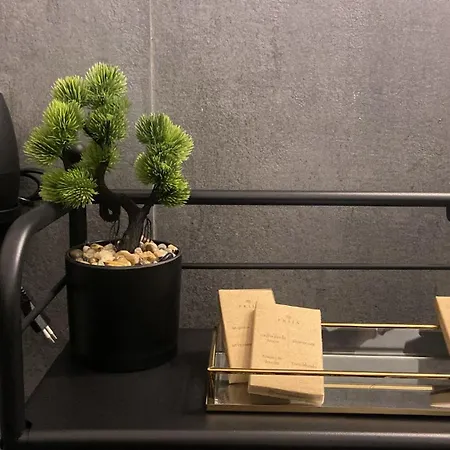 Arche Domus Апартаменты *