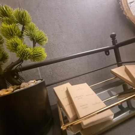 Arche Domus Апартаменты *